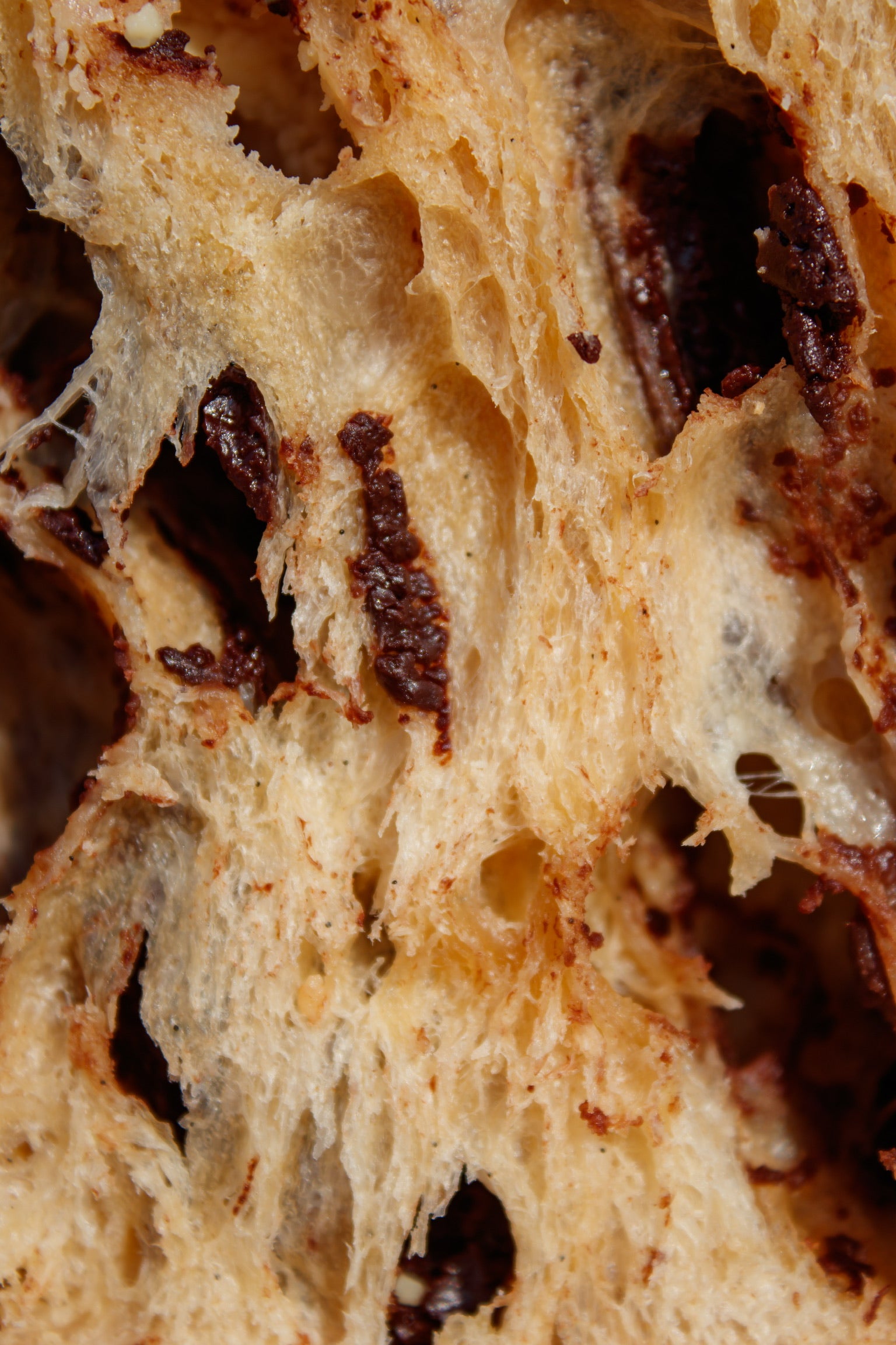 Panettone trois chocolats