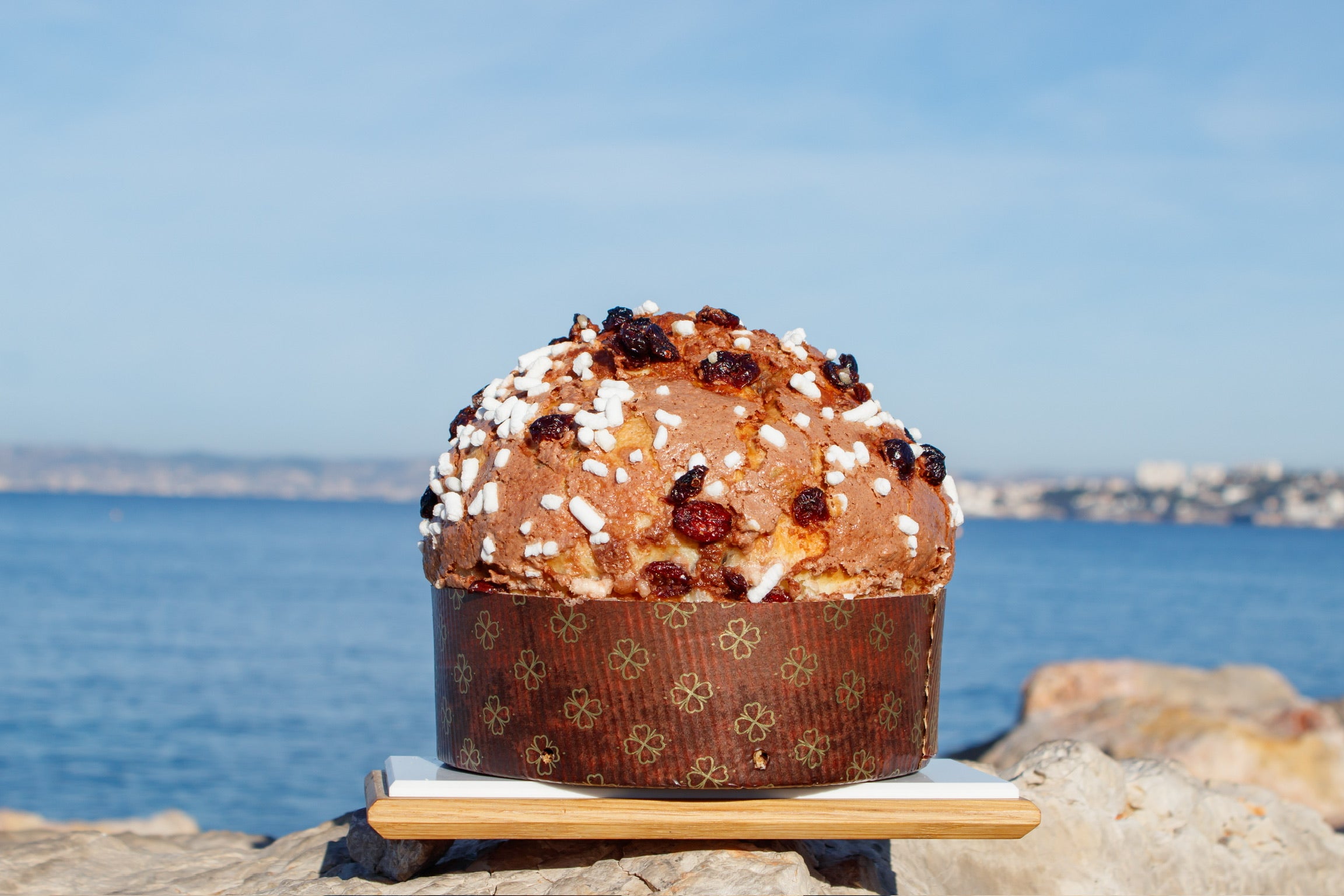 Panettone cranberries, chocolat noir et fève de Tonka