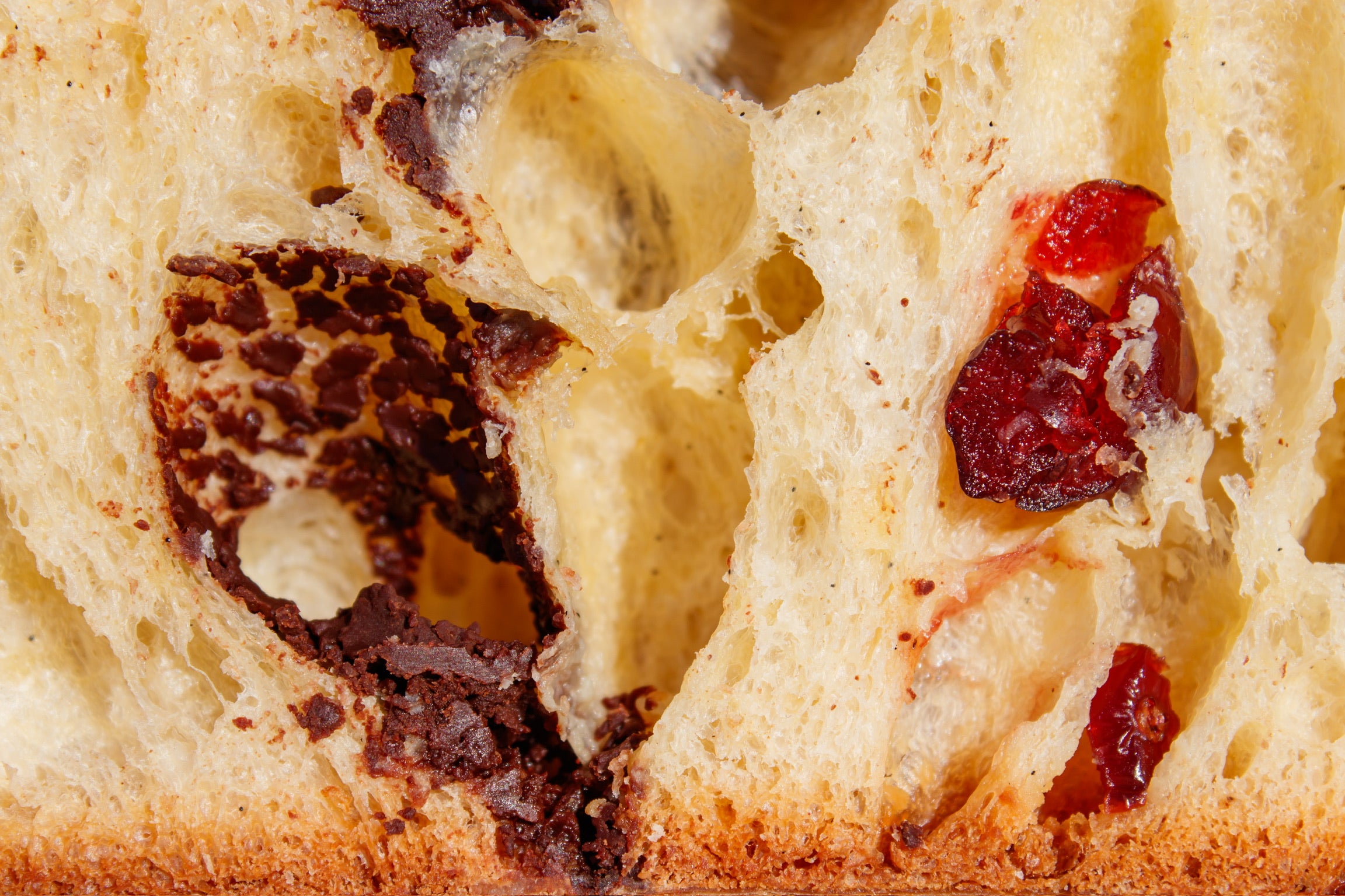 Panettone cranberries, chocolat noir et fève de Tonka