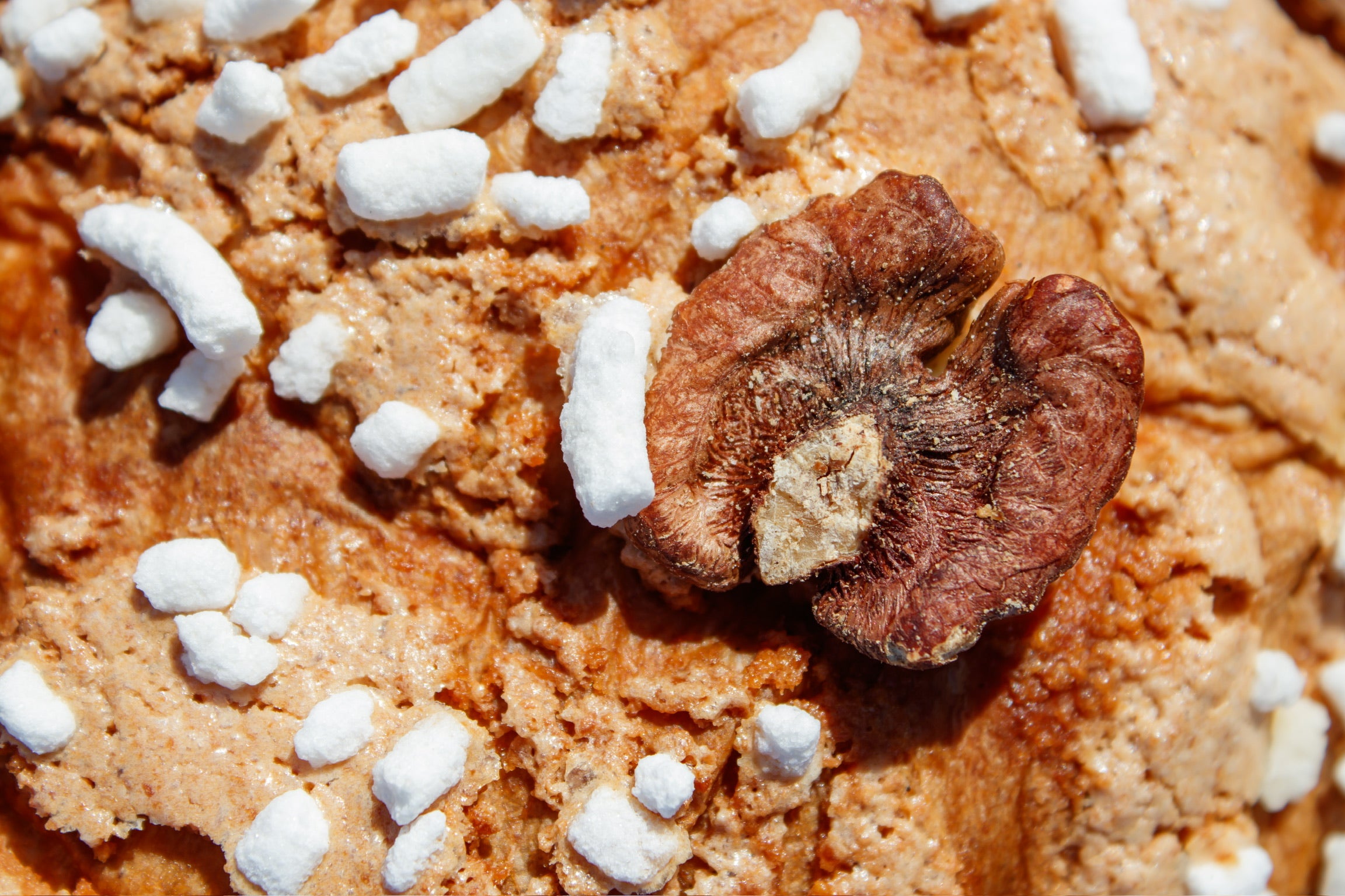 Panettone mandarines confites, noix caramélisées et cannelle